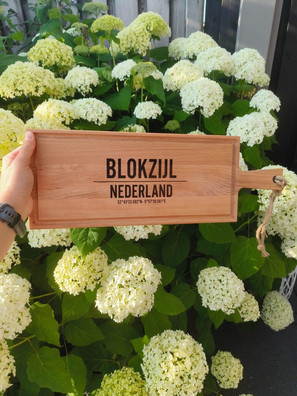 borrelplank-lang-blokzijl
